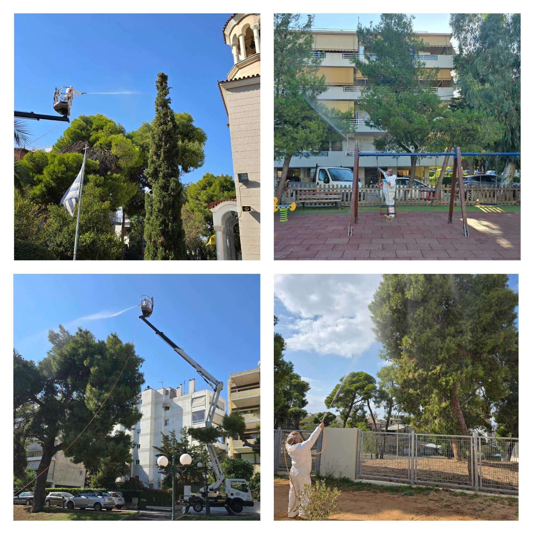 1144 πεύκα ψέκασαν τα συνεργεία του Δήμου Λυκόβρυσης – Πεύκης για την προστασία τους από την πιτυοκάμπη