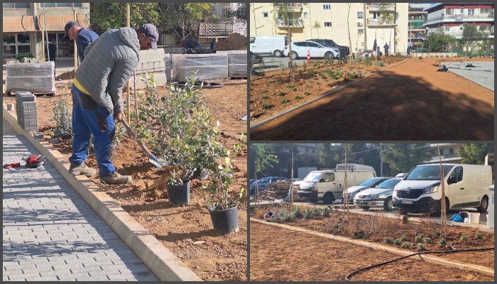 Η Κεντρική Πλατεία Πεύκης (πρώην οικόπεδο Πέρρου) ανθίζει! 