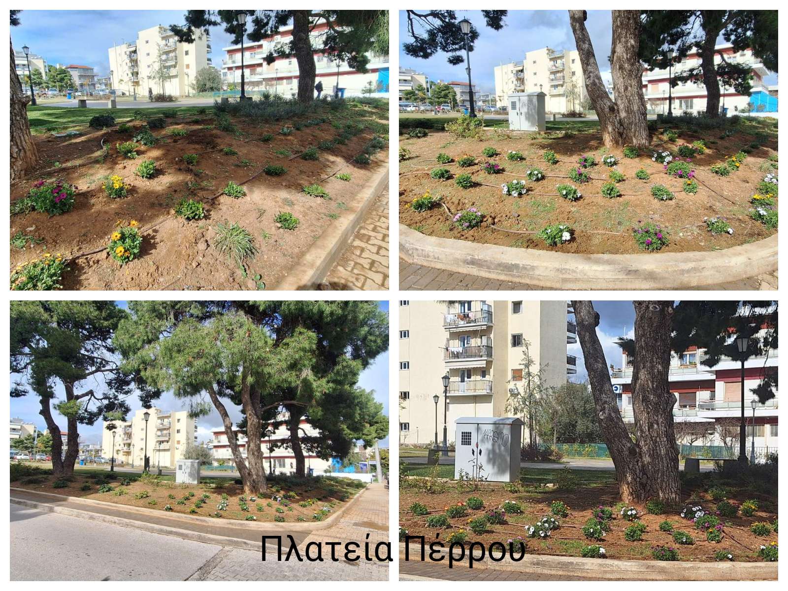Εργασίες φυτεύσεων στον Δήμο Λυκόβρυσης-Πεύκης 