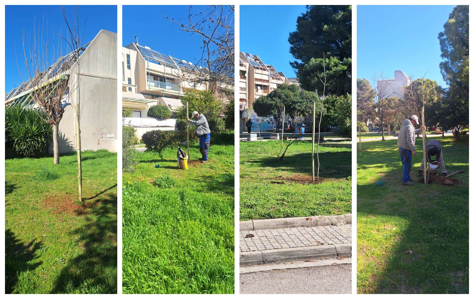 Δενδροφύτευση στο Ηλιακό Χωριό – Μια πράξη ευθύνης για το περιβάλλον και το μέλλον μας