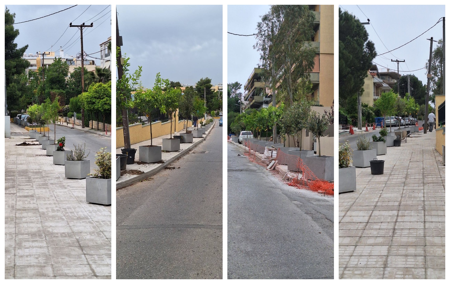 Φύτευση νέων δέντρων στην οδό Βρυούλων