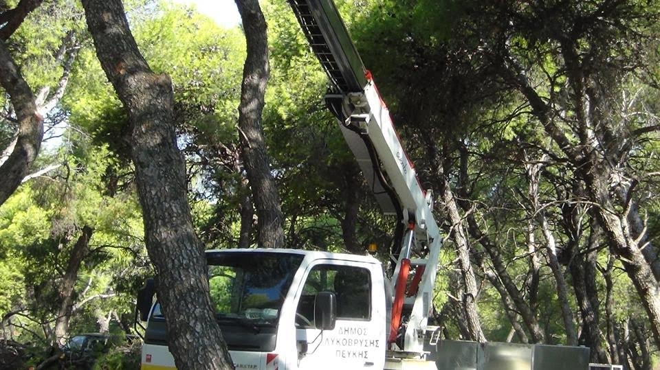 Ξεκίνησε ο καθαρισμός των πεύκων στα Δάση και τα Άλση του Δήμου Λυκόβρυσης – Πεύκης