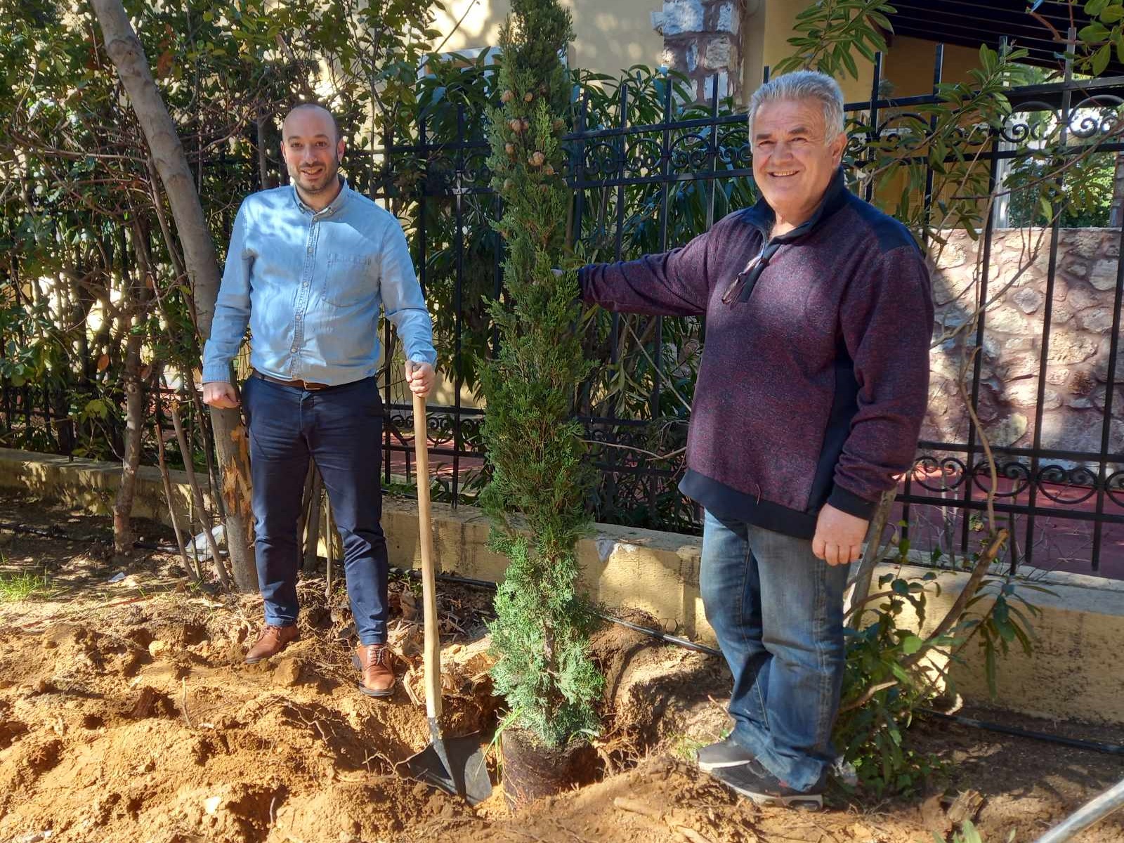 Πρώτη δενδροφύτευση προς αντικατάσταση κορμού που αφαιρέθηκε από πεζοδρόμιο