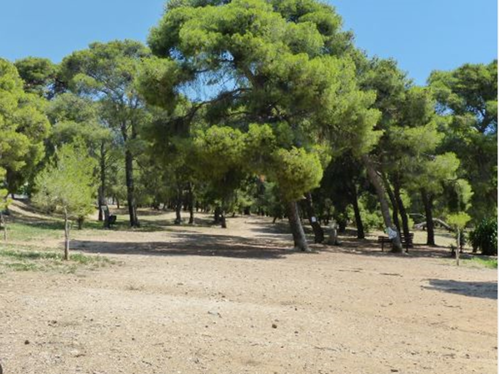 Το Δάσος Μορέλλα δεν πρόκειται να αλλάξει ποτέ!