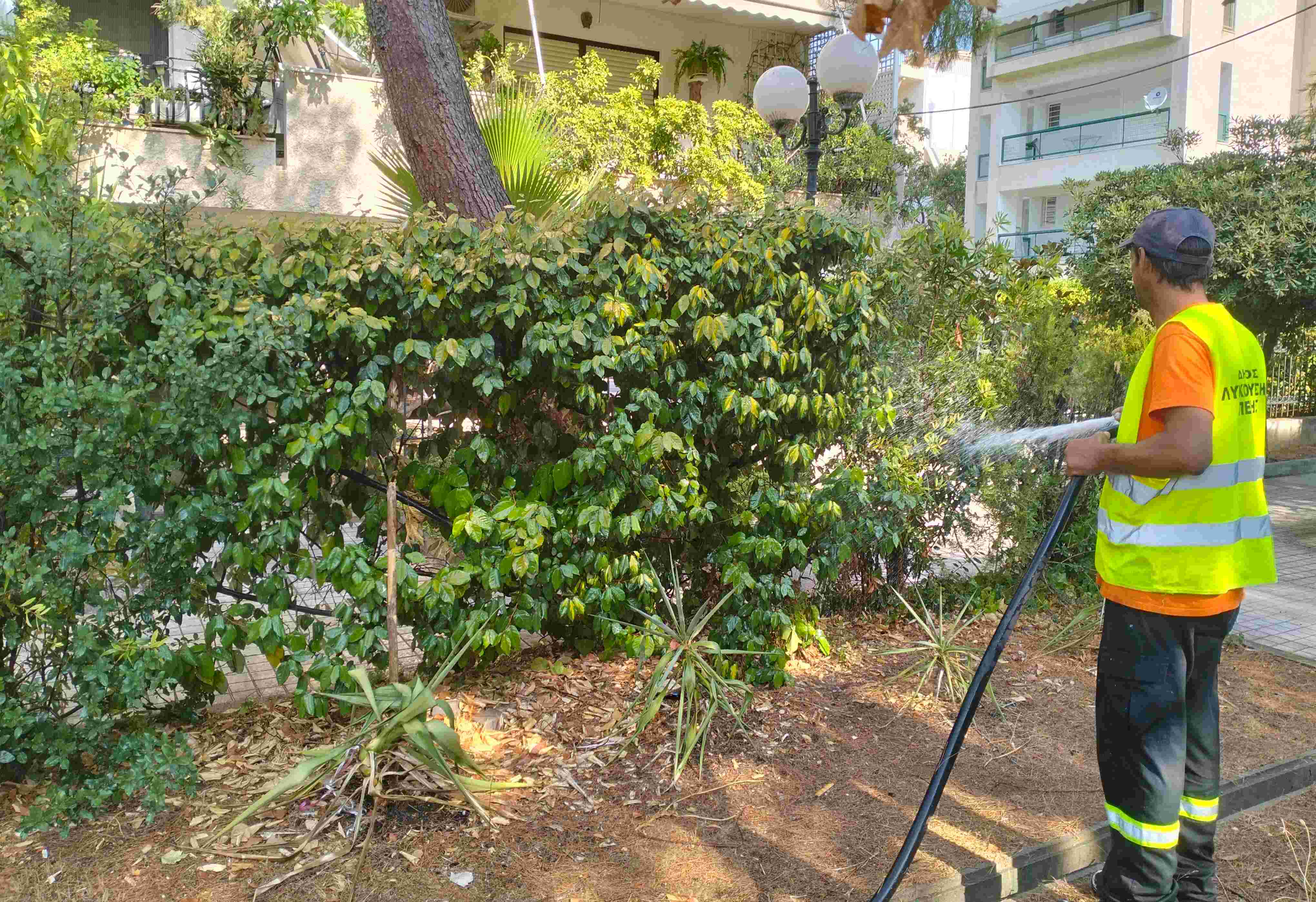 Ποτίζονται καθημερινά οι κοινόχρηστοι χώροι πρασίνου και τα παρτέρια από το προσωπικό του Δήμου Λυκόβρυσης – Πεύκης 