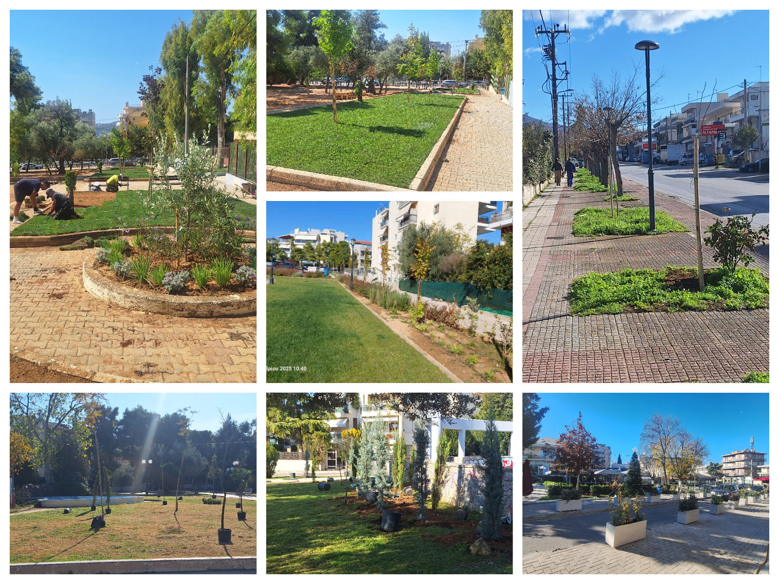 Θετικό το Πράσινο Ισοζύγιο στον Δήμο Λυκόβρυσης – Πεύκης με 239 νέες φυτεύσεις δέντρων!